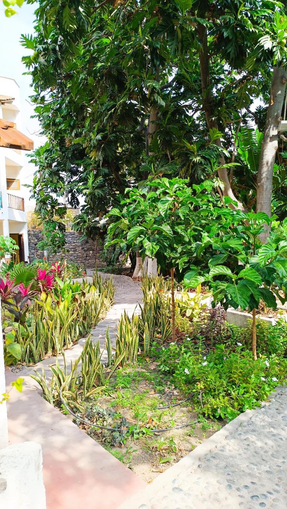 Oasis Paul Residencial Hotel Buitenkant foto